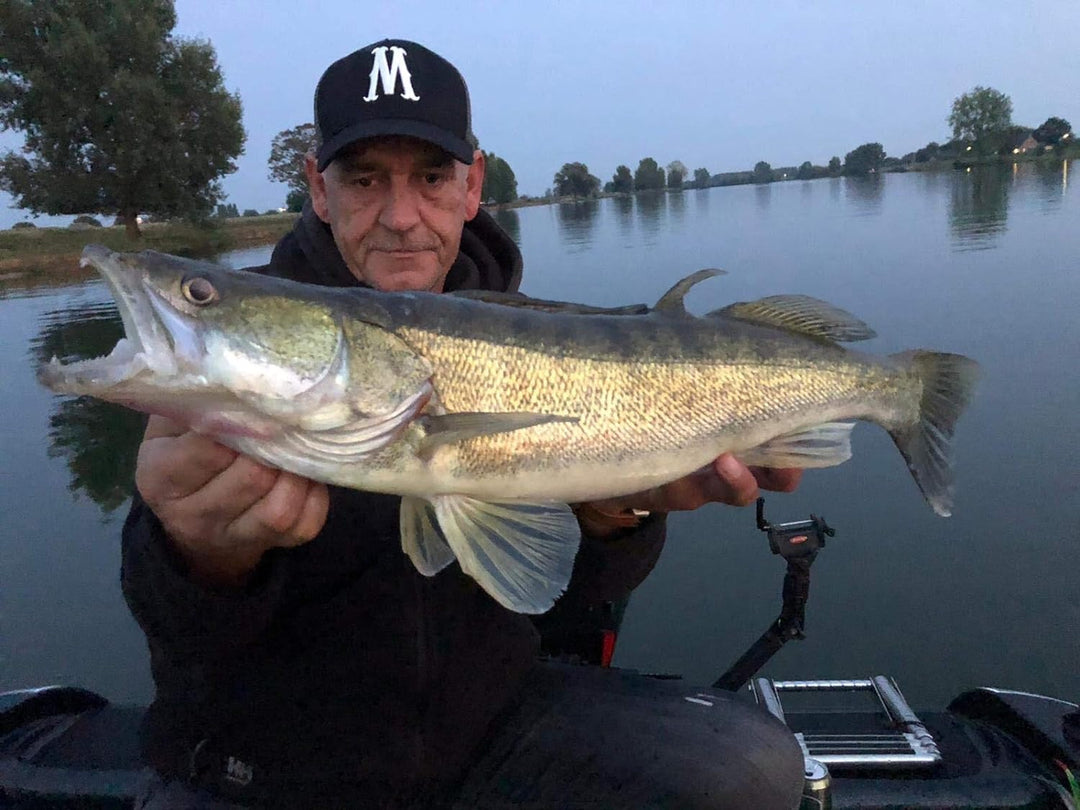 Major Fish Zander Tactical Box 36- teilig Gummifische mit Jigköpfe Wobbler + Raubfisch Zubehör