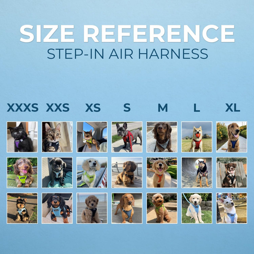 Best Pet Supplies Voyager Step-in Air Allwetter-Mesh-Geschirr und reflektierende Hundeleine, Kombina
