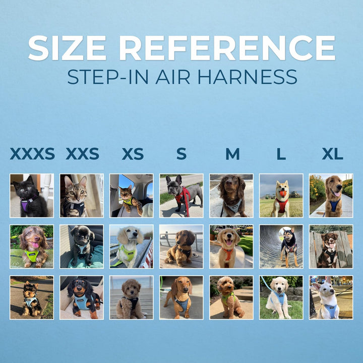 Best Pet Supplies Voyager Step-in Air Allwetter-Mesh-Geschirr und reflektierende Hundeleine, Kombina