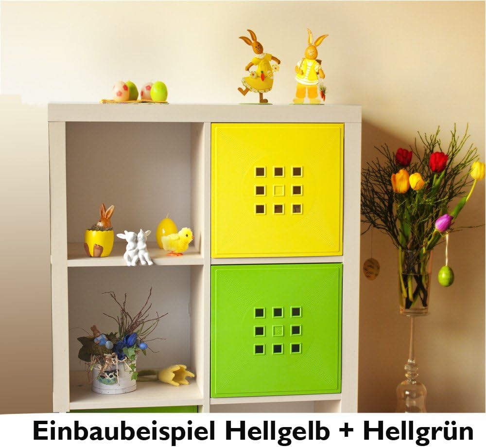 DEKAFORM Designer Regaltür als Fach-Einsatz, Regalsysteme mit Mass ca. 33,6cm x 33,6cm, Tür selber e