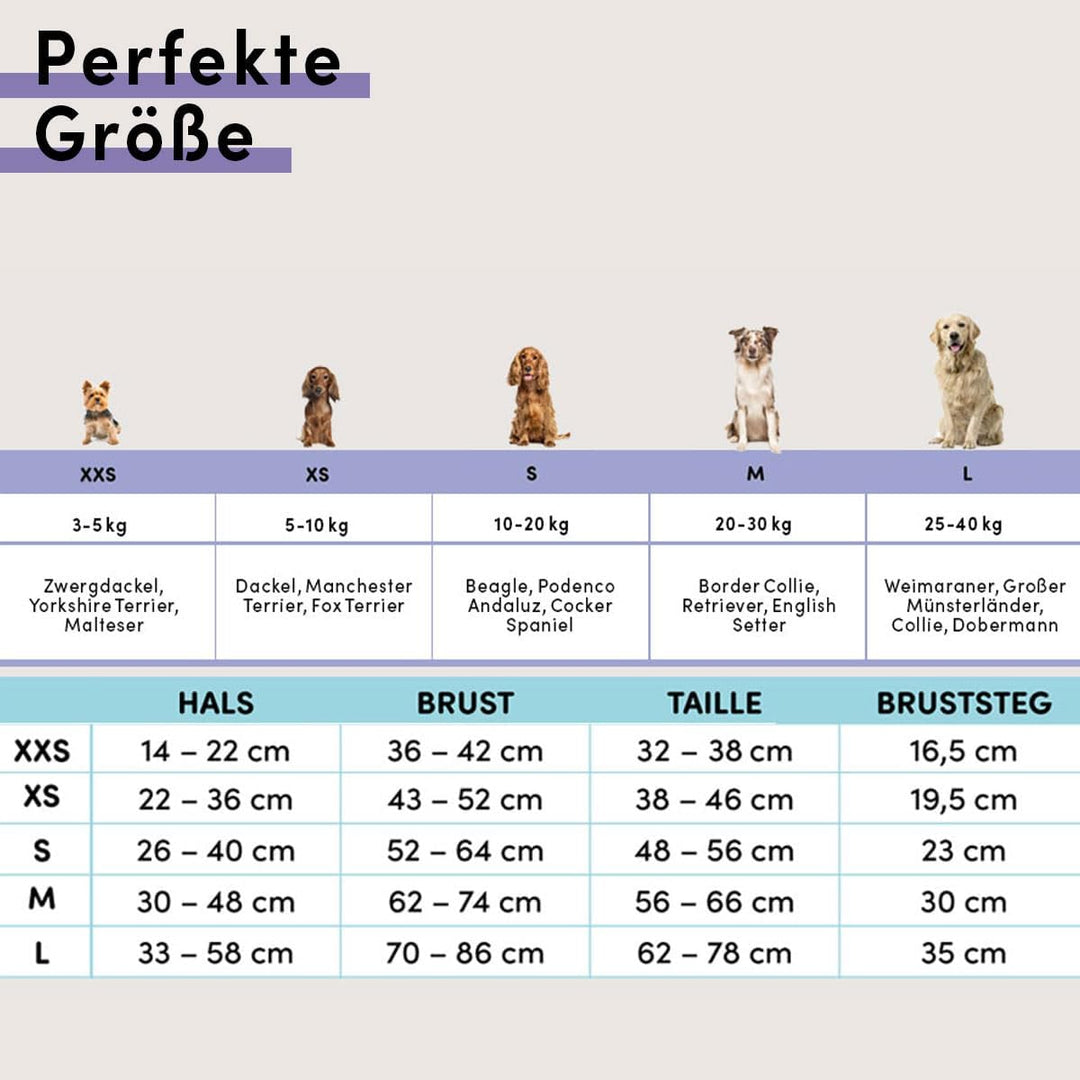 STUCH Hundegeschirr - verstellbares Nylon Geschirr - gepolstert - Für kleine, mittlere und grosse Hu