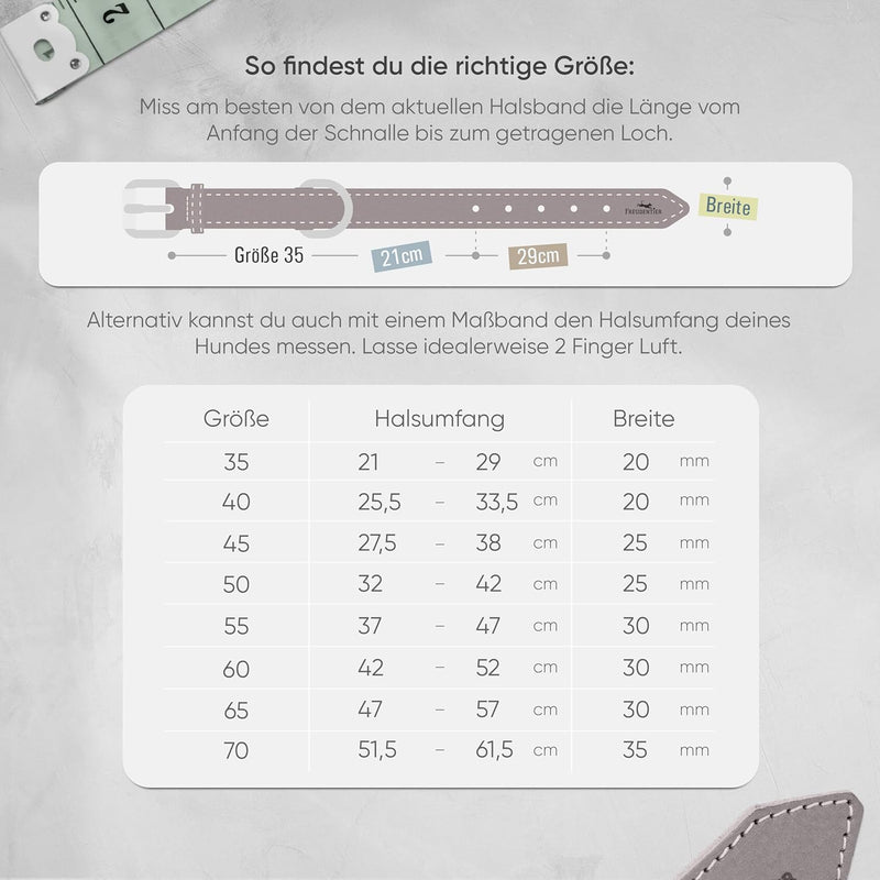 FREUDENTIER® Hundehalsband aus Leder, Made in Holland, gefüttert & super komfortabel, hochwertiges b