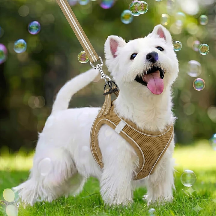 HEELE Hundegeschirr Hunde Kleine Hundegeschirr Anti Zug Atmungsaktiv Brustgeschirr No Pull Sicherhei