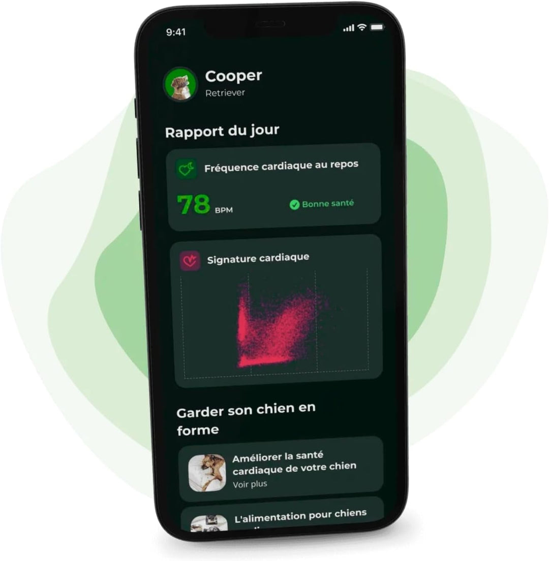 Invoxia Minitailz - Gesundheits- und GPS-Tracker für Hunde 