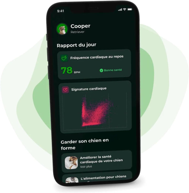 Invoxia Minitailz - Gesundheits- und GPS-Tracker für Hunde 