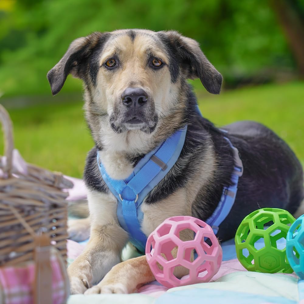 Anny-X Brustgeschirr Fun Marshmallow | Hundegeschirr Grösse S (Brustumfang 52-64 cm)