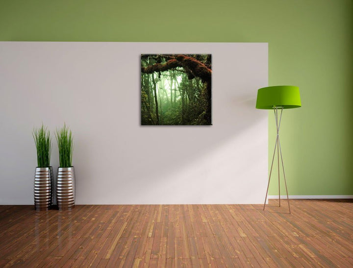 Geheimnisvoller Regenwald, Format: 70x70 auf Leinwand, XXL riesige Bilder fertig gerahmt mit Keilrah