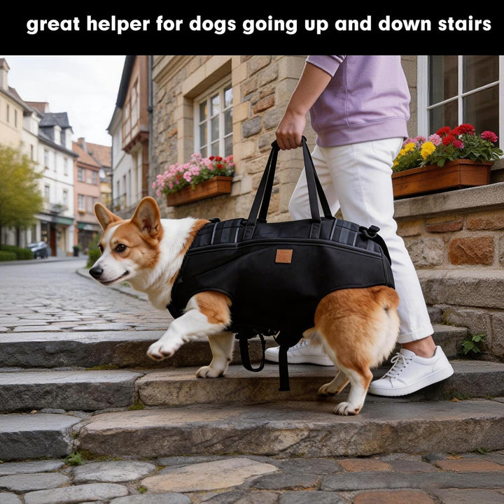 Hundetragegeschirr für grosse Hunde, Tragehilfe Hund (Brustumfang:49-63 cm), Hundegeschirr Grosse Hu