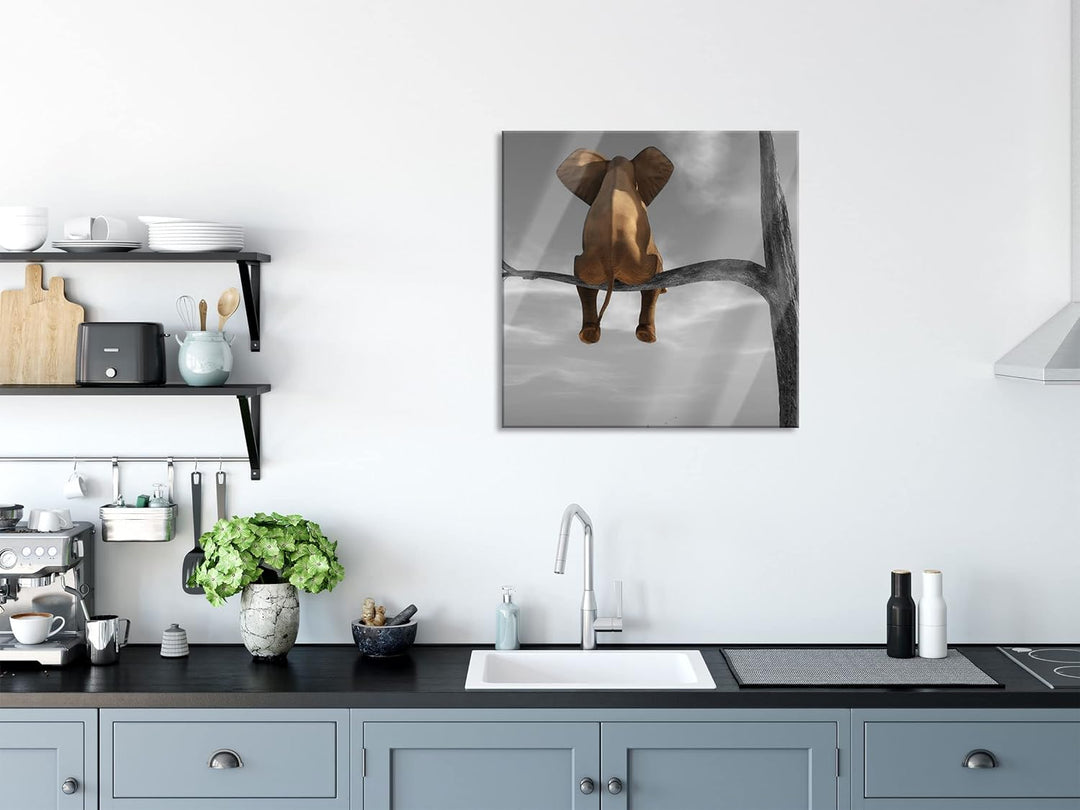 Pixxprint Glasbild | Wandbild auf Echtglas | Elefant auf einem Ast in der Wüste | 80x80 cm | inkl. A