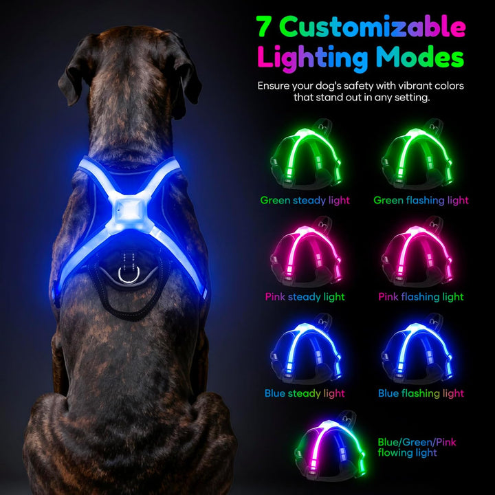 LED Hundegeschirr Leuchtend, Multicolor Reflektierendes Leuchthundegeschirr für Nacht, USB-C Wiedera