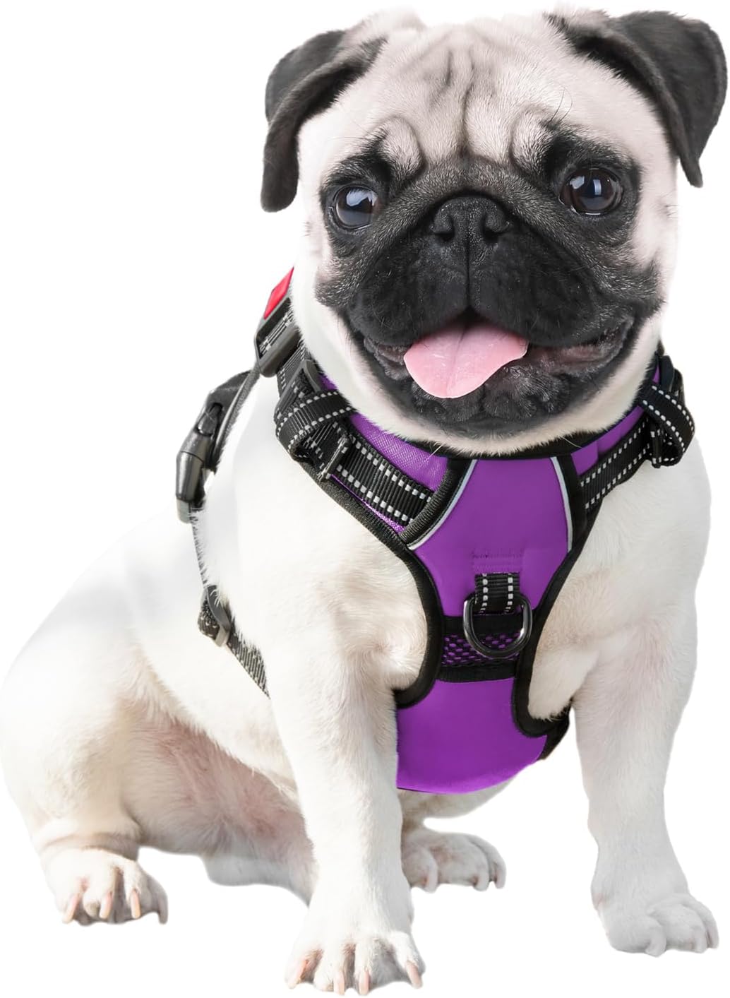 PHOEPET Hundegeschirre ohne Ziehen für kleine Hunde, reflektierend, verstellbare Front-Clip-Weste mi