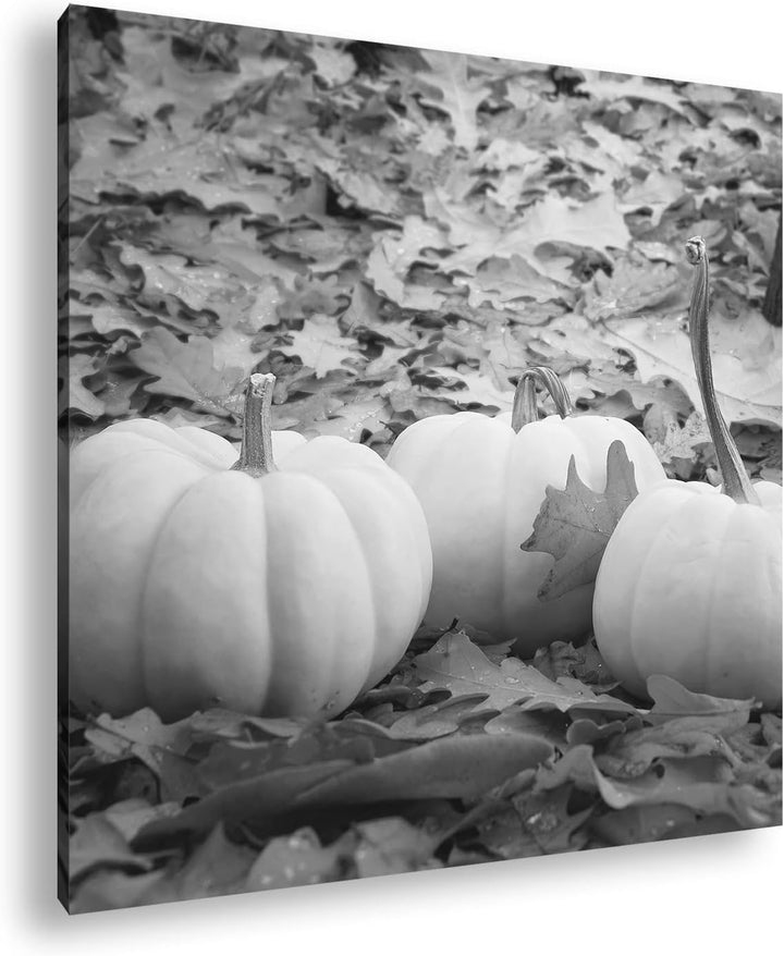 deyoli Herbstliche Kürbise Effekt: Schwarz&Weiss Format: 70x70 als Leinwandbild, Motiv fertig gerahm