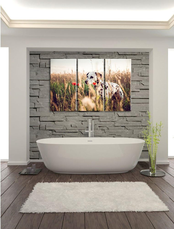 Pixxprint Neugieriger Hund im Feld als Leinwandbild/Grösse: 3 Teilig (120x80) cm/Wandbild/Kunstdruck