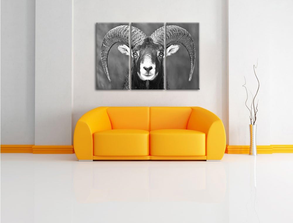 Pixxprint Mufflon Porträt Kunst B&W als Leinwandbild/Grösse: 3 Teilig (120x80) cm/Wandbild/Kunstdruc