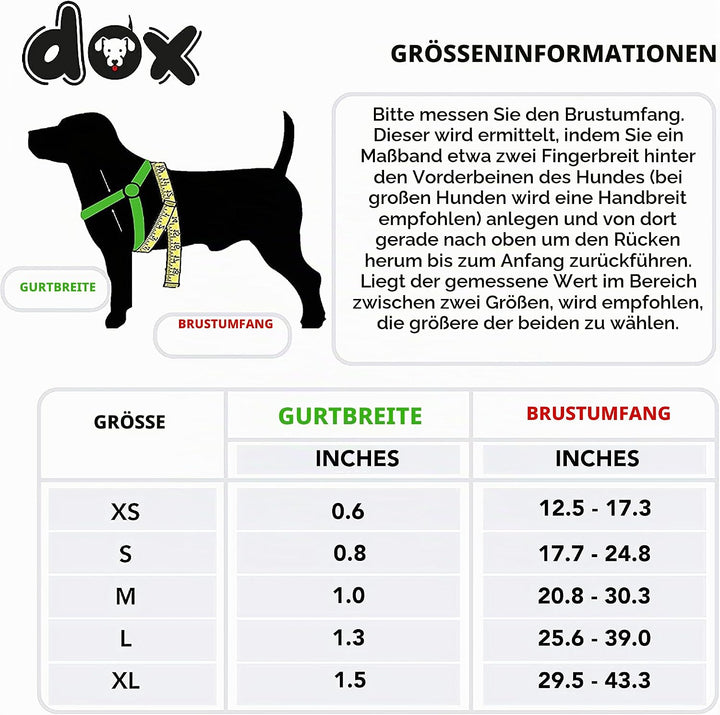 DDOXX Air Mesh Step-In Hundegeschirr - Verstellbare Brust Welpengeschirr für alle Grössen - M (Grün)