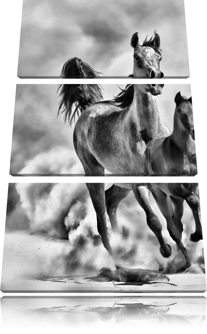 Pixxprint Western Pferde Fohlen als Leinwandbild/Grösse: 3 Teilig (120x80) cm/Wandbild/Kunstdruck/fe
