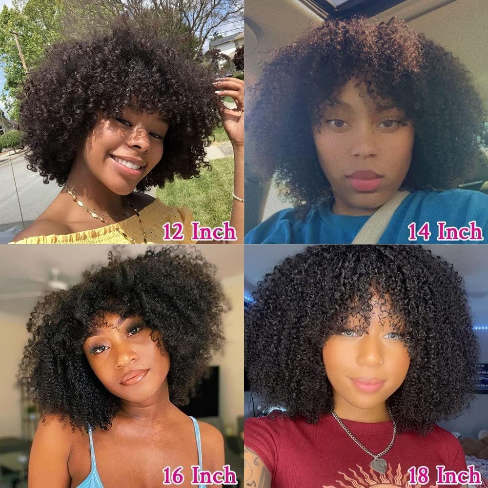 Human Hair Wig Kinky Curly Wig Human Hair Real Hair Wig with Fringe Short Curly Wigs Real Hair Brazi