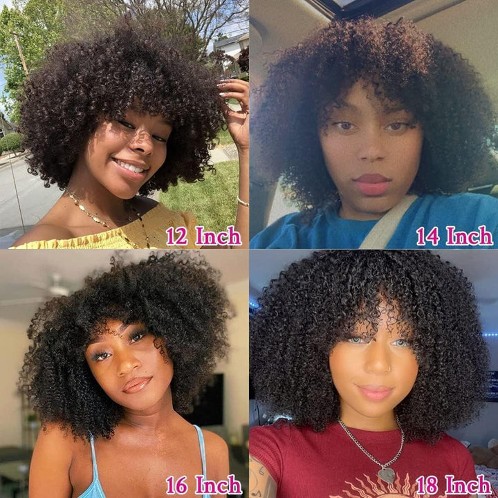 Human Hair Wig Kinky Curly Wig Human Hair Real Hair Wig with Fringe Short Curly Wigs Real Hair Brazi