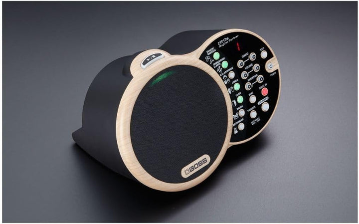 Boss DR-01S Rhythm Partner, DR-01S