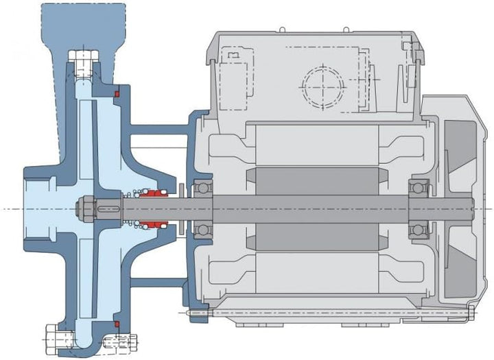 Calpeda Wasserpumpe C20, 0,37 kW, offenes Rad von 1,5 bis 4,8 m³/h, dreiphasig, 380 V