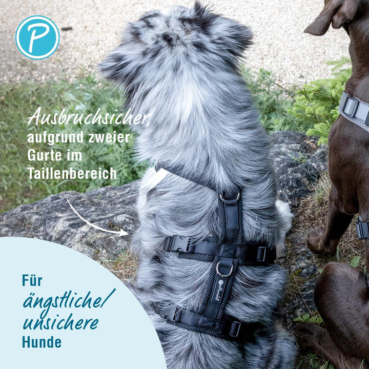 Petlando Sicherheitsgeschirr, ausbruchsicheres Hundegeschirr mit extra Bauchgurt, weich gepolstert m