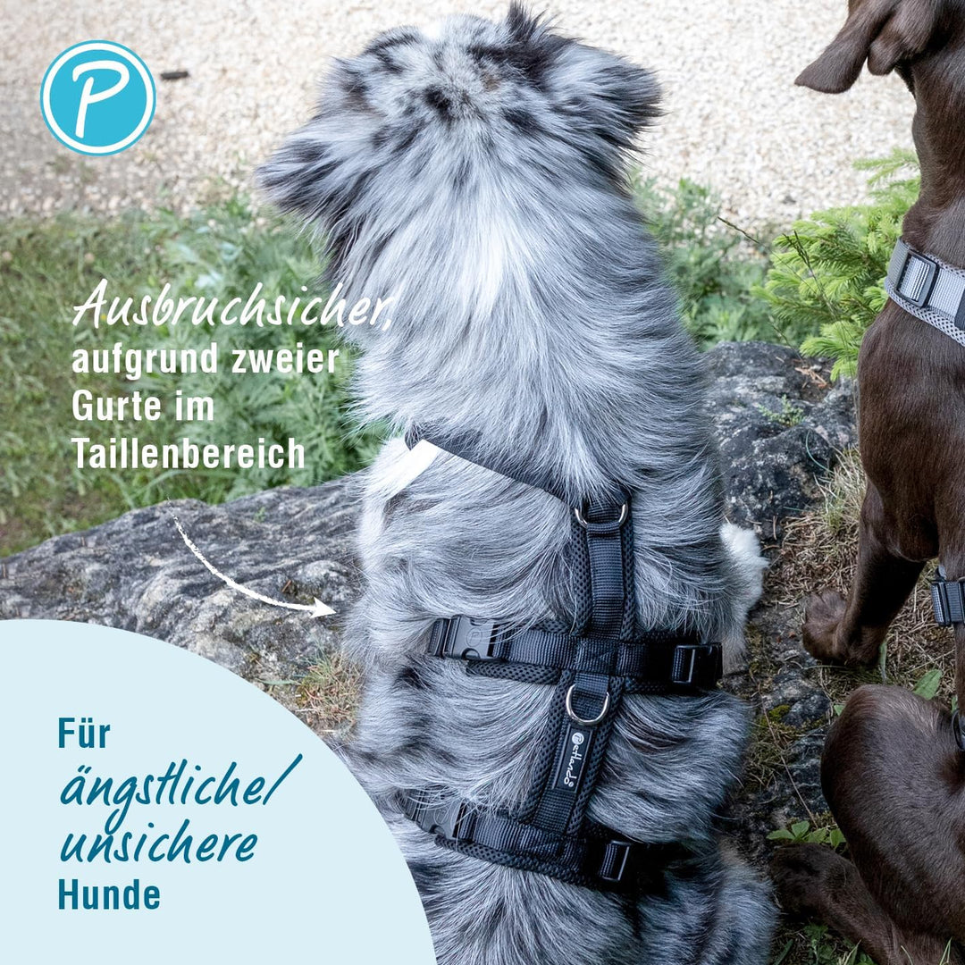 Petlando Sicherheitsgeschirr Mesh – für ängstliche Hunde, ausbruchsicher durch Zwei Gurte im Brust-
