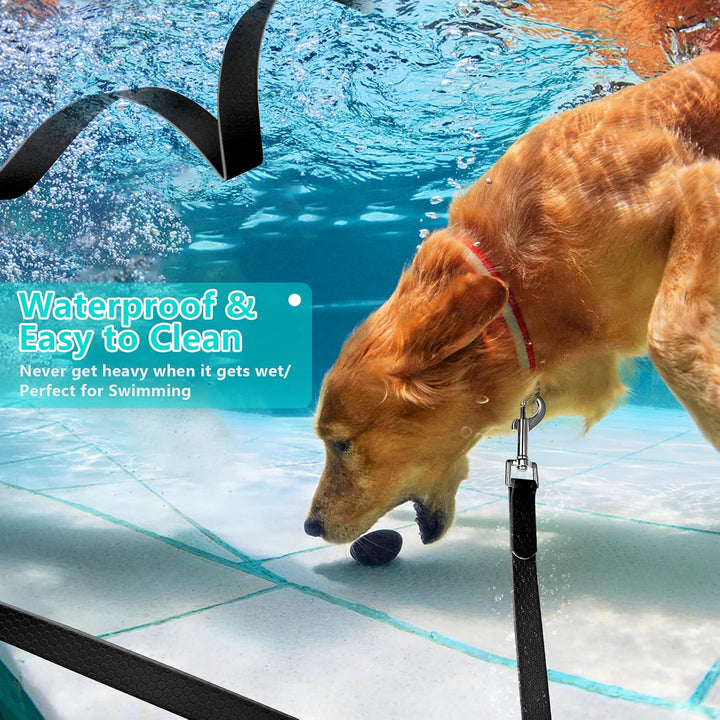 IOKHEIRA Trainingsleine für Hunde, wasserdichte Hundeleine mit Gepolstertem Griff 5m/10m/15m/20m, PV