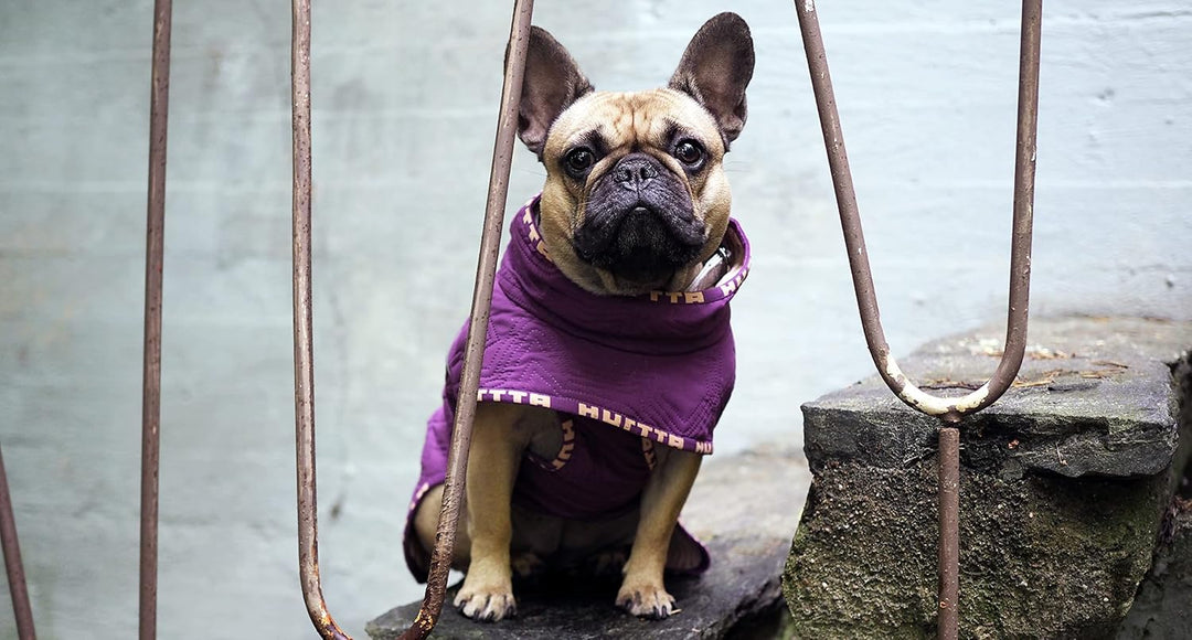Hurtta Casual Quilted Jacket Hundemantel, River, 20XL Fluss 20XL, Fluss 20XL