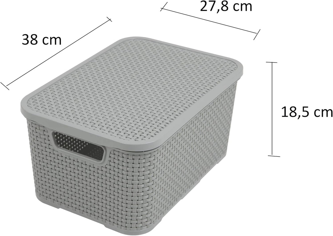 BranQ - Home essential Deckel Korb in Rattan Design 2er Set Grösse L 19 l, BPA-frei Kunststoff PP,He