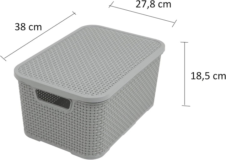 BranQ - Home essential Deckel Korb in Rattan Design 2er Set Grösse L 19 l, BPA-frei Kunststoff PP,He