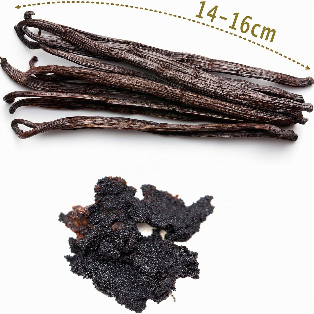 15 Vanilleschoten • BIO-Vanille aus Madagaskar • Grand-Cru-Qualität • Beutel FreshZIP, 15