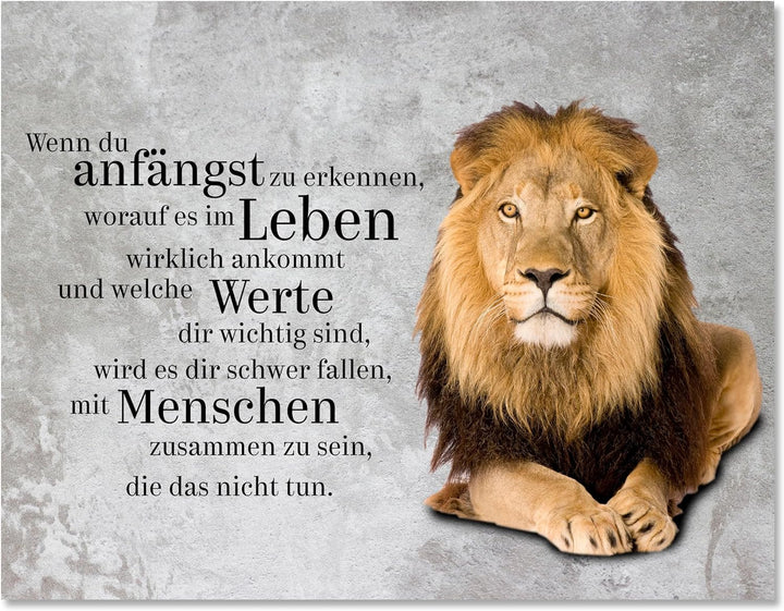 wandmotiv24 Motivations Motiv als Leinwandbild, 40x30cm, Querformat, welche Werte, Löwe, Beton, Grun