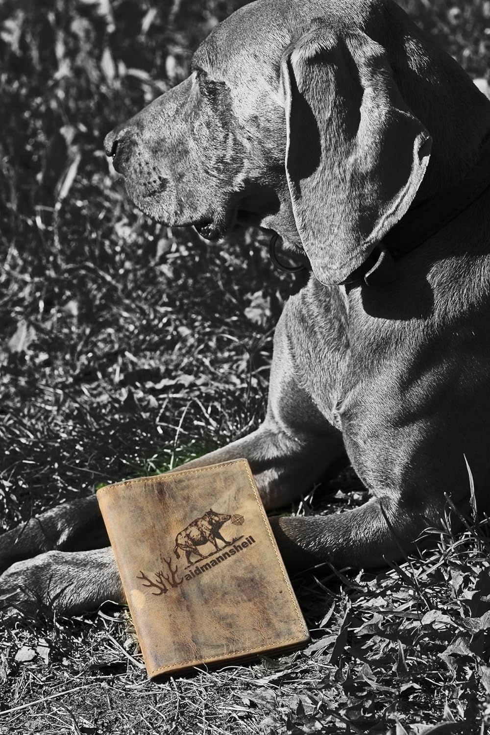 Greenburry Vintage Ausweismappe-Leder I Jagdschein-Etui mit Waidmannsheil Motiv für Jäger - 16,5x1,5