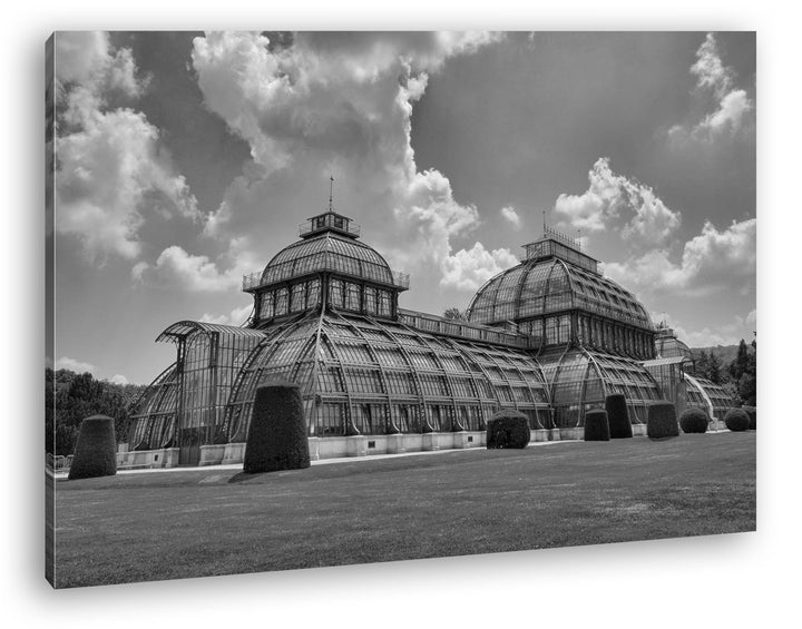 deyoli das Palmenhaus in Schönbrunn Wien Effekt: Schwarz/Weiss Format: 80x60 als Leinwandbild, Motiv