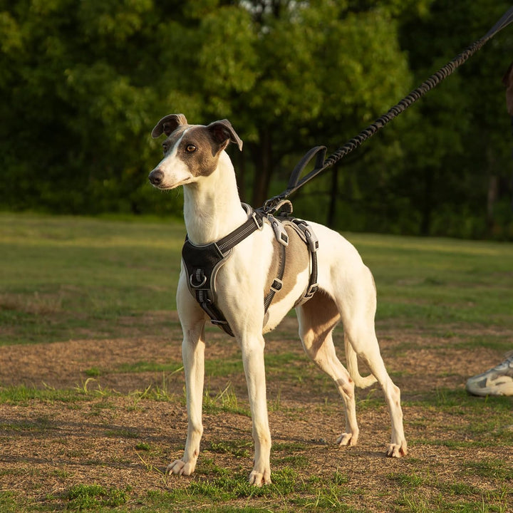 Huntboo Hunde Sicherheitsgeschirr, Sicherheitsgeschirr für Hunde, Vollständig Reflektierendes Geschi
