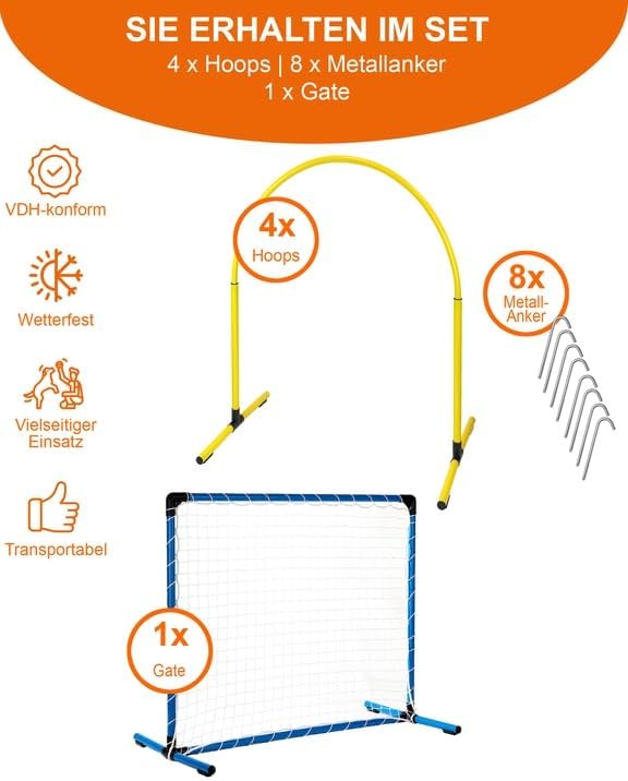 Hoopers Anfänger‑Set – 4 Hoops & Gate – VDH‑konform, UV‑beständig & flexibel – Blaue Hoops mit bunte