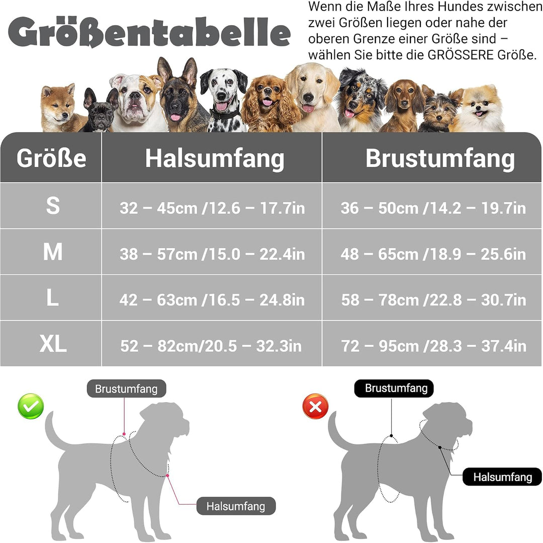 Funfox Hundegeschirr Kleine Hunde [S] - Anti Zug Welpengeschirr mit Griff &amp; Ringreflektoren, Atmungs