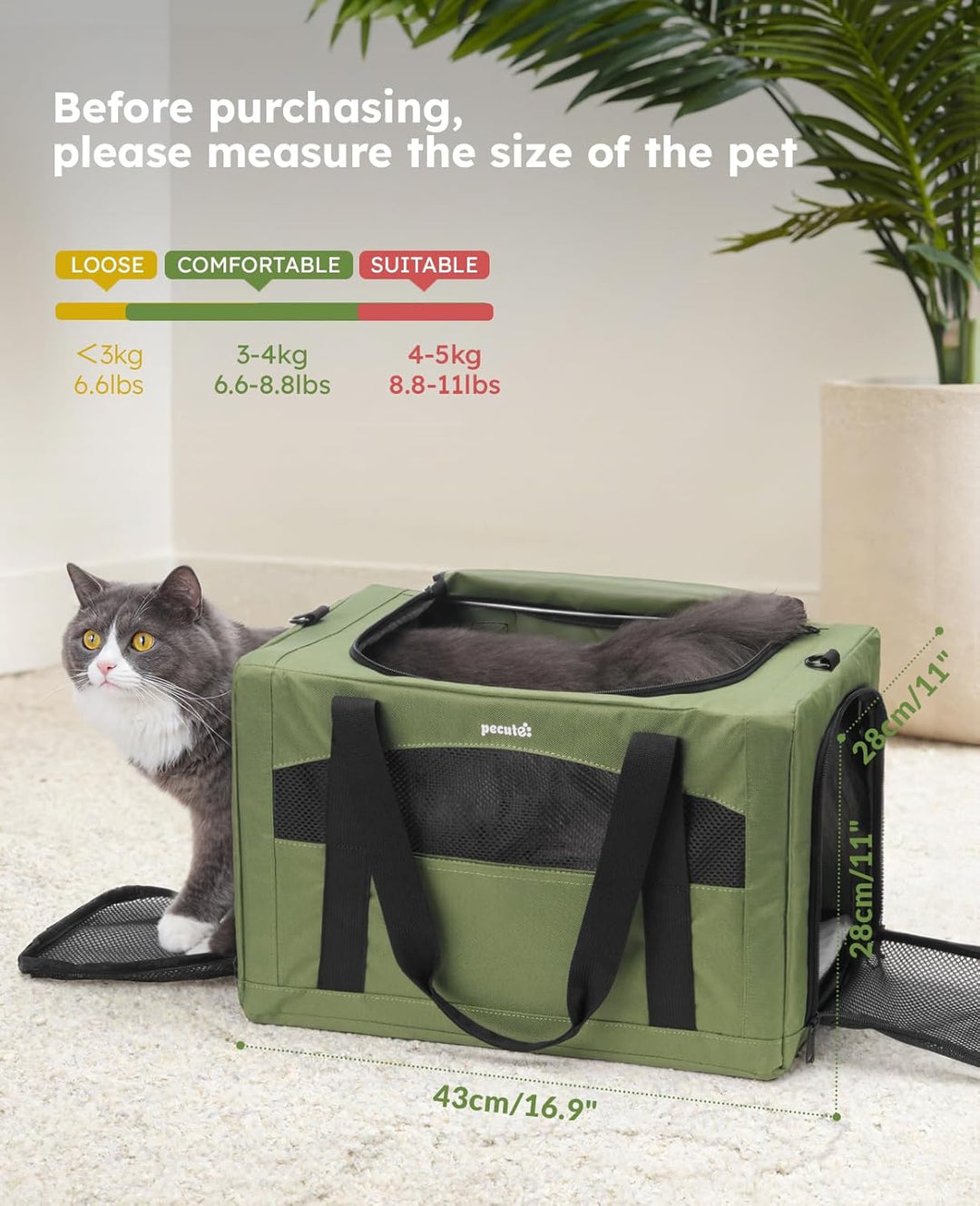 pecute Katzentasche Transporttasche Stabiler Halt Haustier Tragetasche, Transportbox Katze Leicht, F