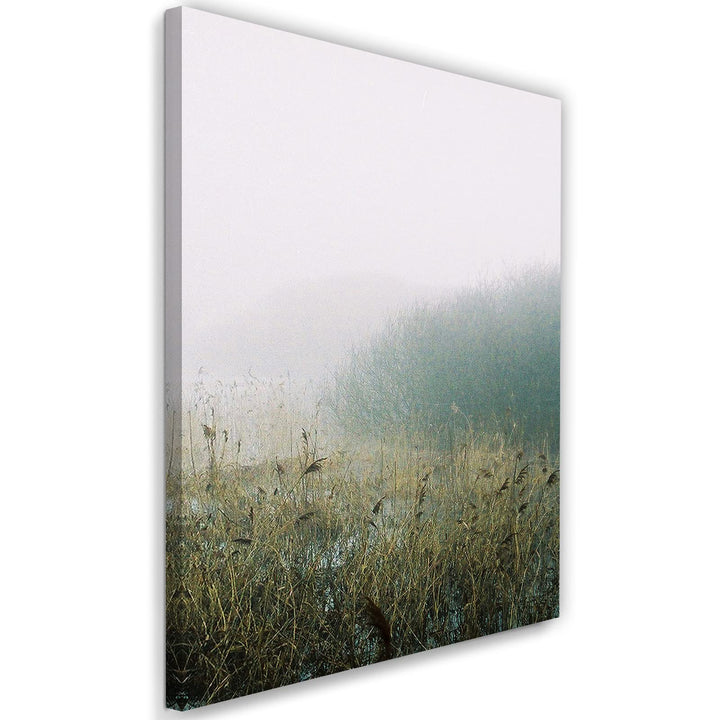 Feeby Wandbilder Wiese Nebel Landschaft XXL 80x120 cm 1Teilig Modern Vlies Bilder Leinwandbilder Bil