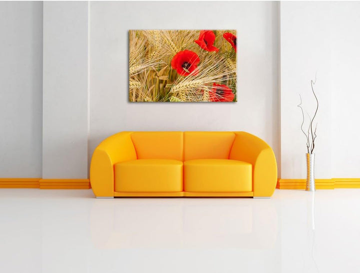 Pixxprint Mohnblumen auf dem Mais-Feld als Leinwandbild/Grösse: 100x70 cm/Wandbild/Kunstdruck/fertig
