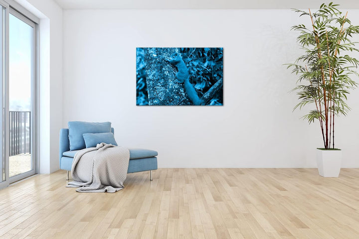deyoli kleines niedliches Eichhörnchen auf einem Baum Format 80x60 Effekt: Monocrome Blau als Leinwa