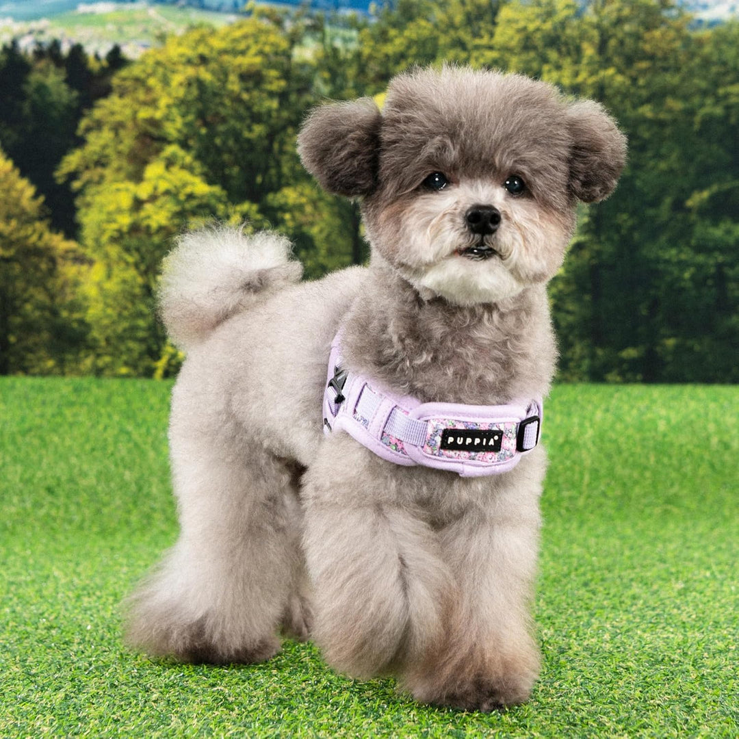 Puppia Kealoha Hundegeschirr X, modisches Blumenmuster, Frühling Sommer Geschirr für kleine und mitt