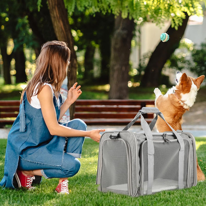Haustiertragetasche – Faltbare Transportbox Katze & Hund, Leichte Katzentransporttasche mit Schulter