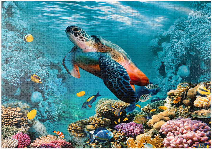 Unterwasserwelt mit Schildkröte und Korallen - Premium 1000 Teile Puzzle - MyPuzzle Sonderkollektion