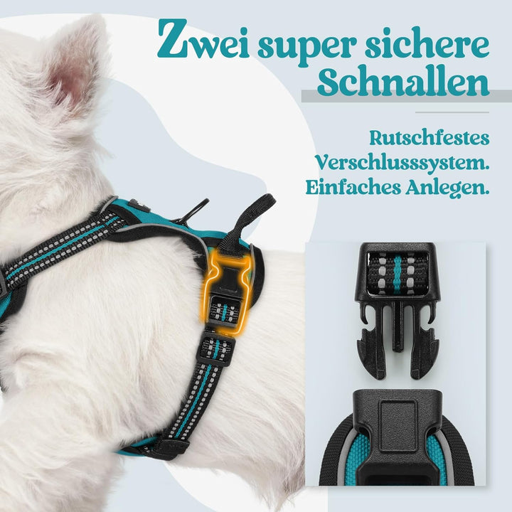 rabbitgoo Hundegeschirr Kleine Hunde, Anti Zug Geschirr mit Kontrolle, No Pull Verstellbar Hundegesc
