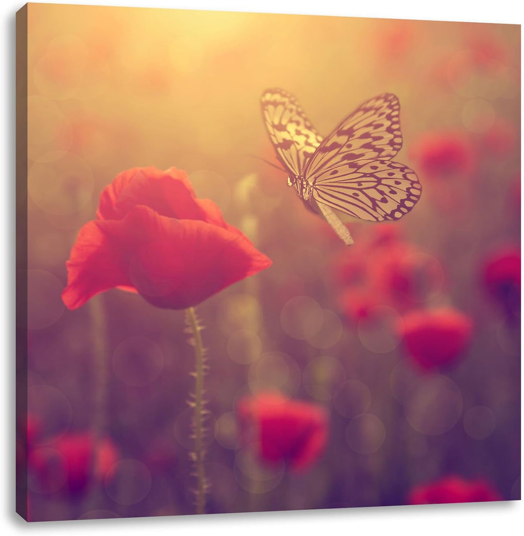 Mohn und Schmetterling, Format: 70x70 auf Leinwand, XXL riesige Bilder fertig gerahmt mit Keilrahmen