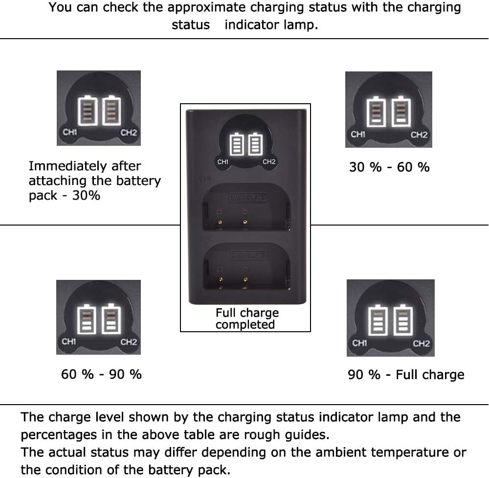 DSTE 2 x DMW-BLF19E Ersatzakku + Dual USB-Ladegerät mit LCD-Display, kompatibel mit DMW-BLF19 und Pa
