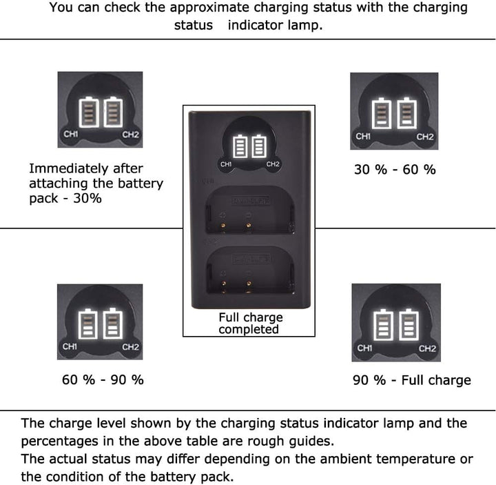 DSTE 2 x DMW-BLF19E Ersatzakku + Dual USB-Ladegerät mit LCD-Display, kompatibel mit DMW-BLF19 und Pa