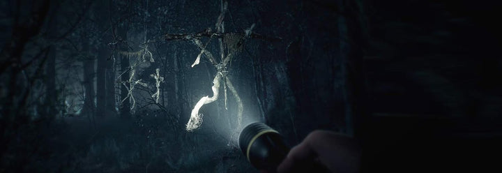 Blair Witch [PC] PC Standard, PC Standard
