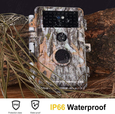 BlazeVideo 2tlg. Wildkamera 32MP 1296P HD Wildtierkamera mit Nachtsicht Bewegungsmelder, IP66 Wasser